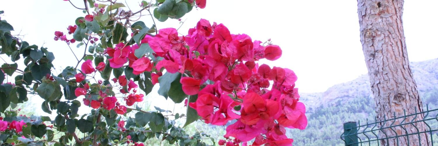 VeraMatas5's profile banner image