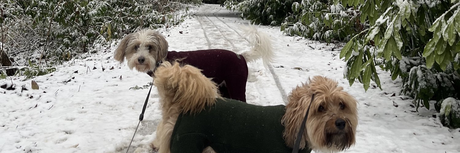 Colette Mason banner