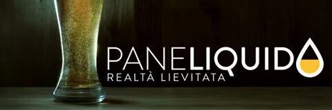 paneliquido's profile banner image