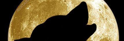 exploreB2B_Deu's profile banner image