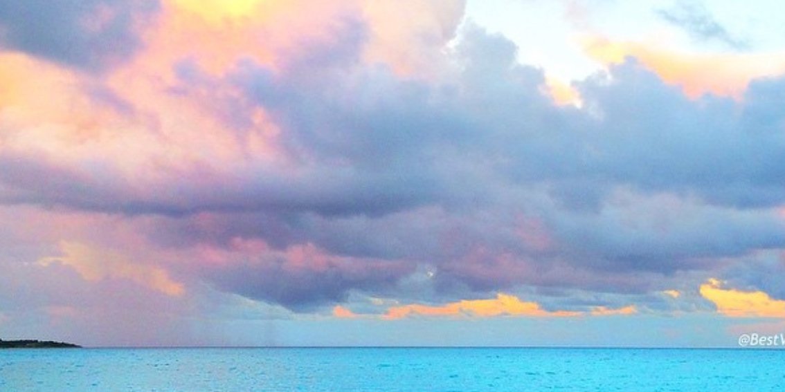 EmilyZuz's profile banner image