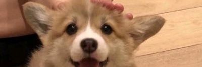rightsword_10's profile banner image