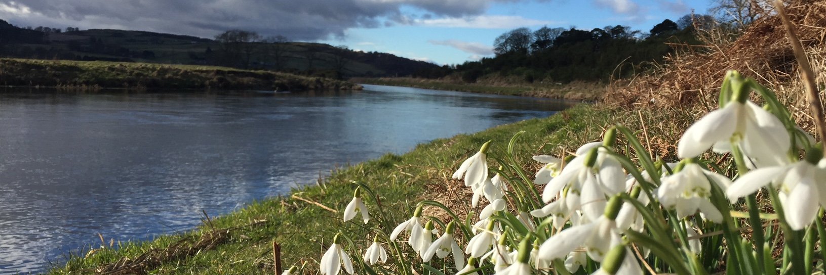 AberdeenAngling's profile banner image