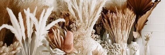 nikitahayu's profile banner image