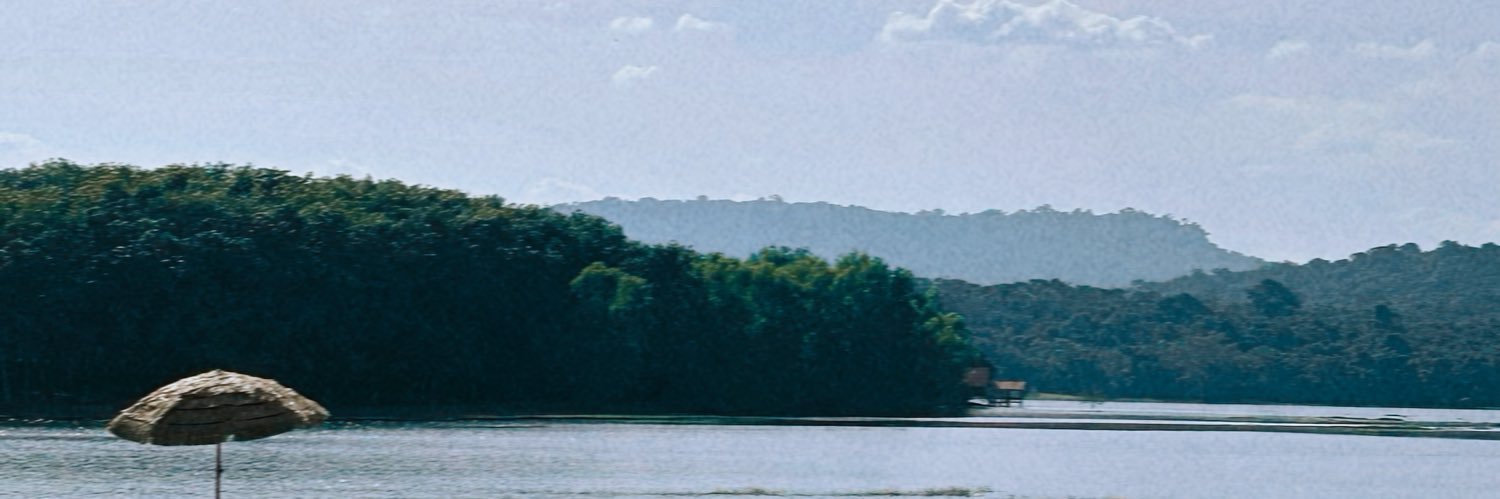 joyiiZGEE's profile banner image
