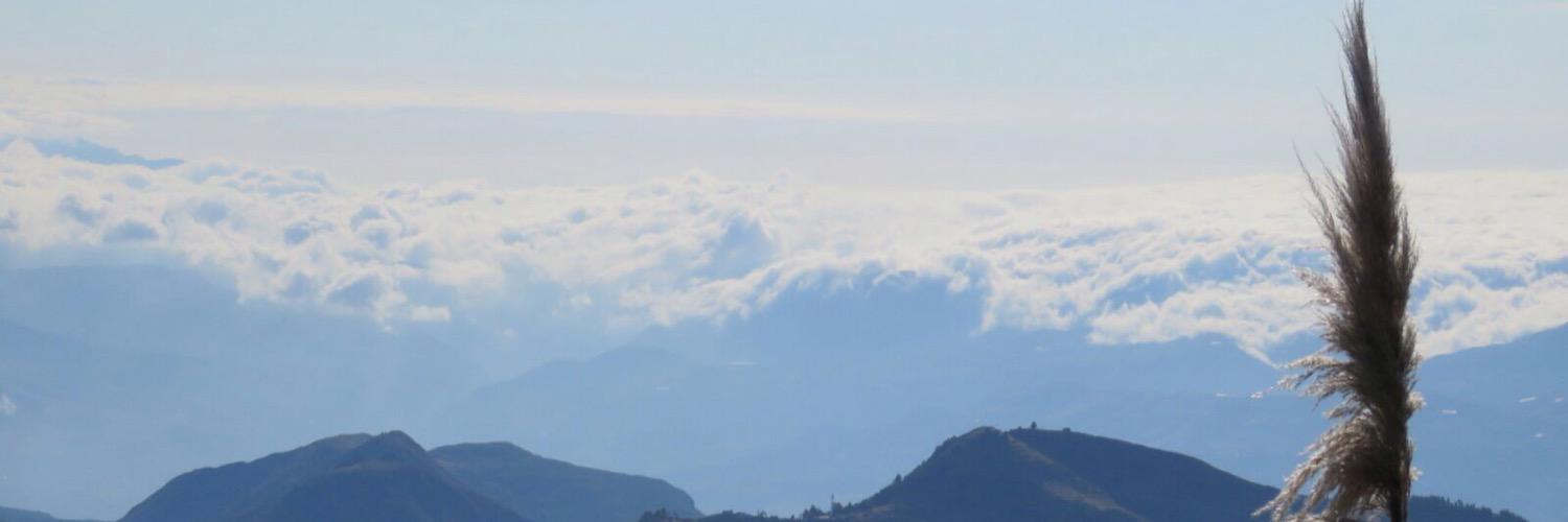 mbmora's profile banner image