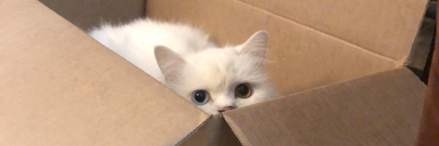 Val banner