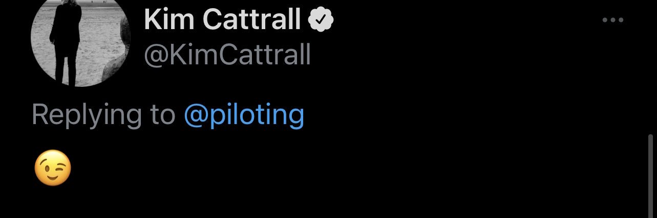 p i l o t i n g banner