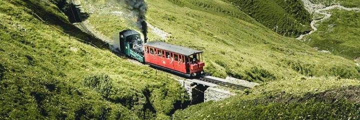 ulumenutu_19's profile banner image