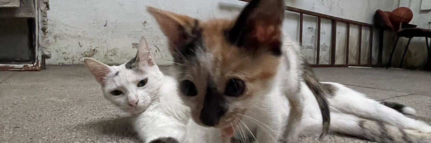 GomezokN's profile banner image