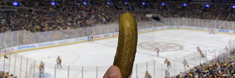 picklesnplaces's profile banner image