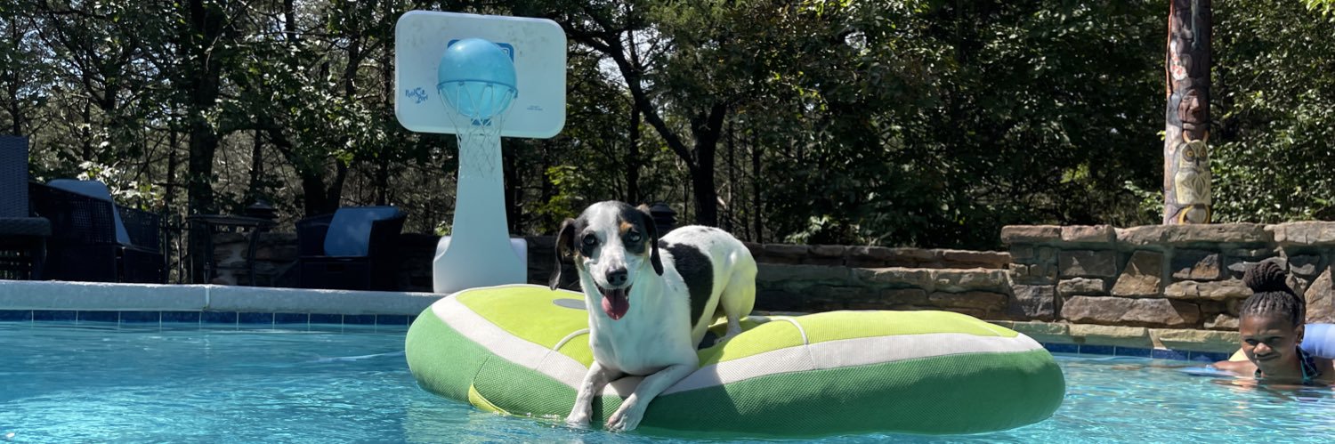 Amy Lyn Wright banner