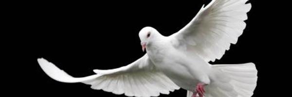 kathblessan Profile Banner