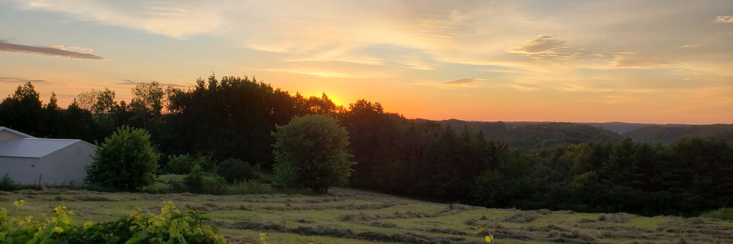 Iunna's profile banner image