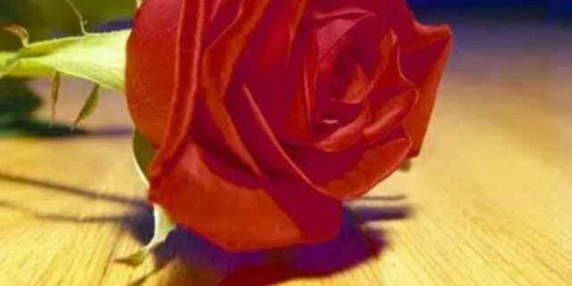 mmm1403221's profile banner image
