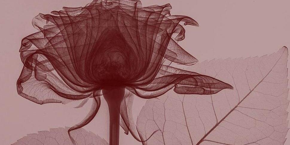 MBeleen16's profile banner image