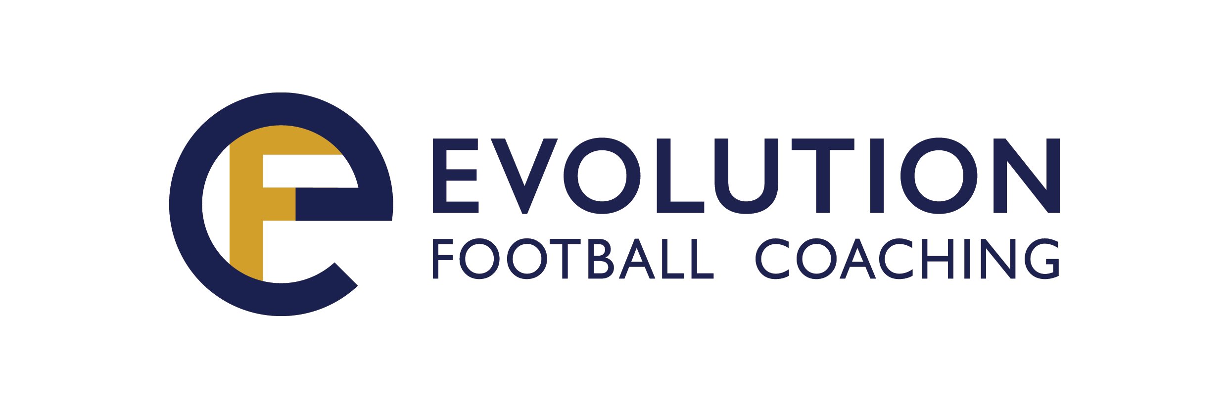 Evolution FC banner