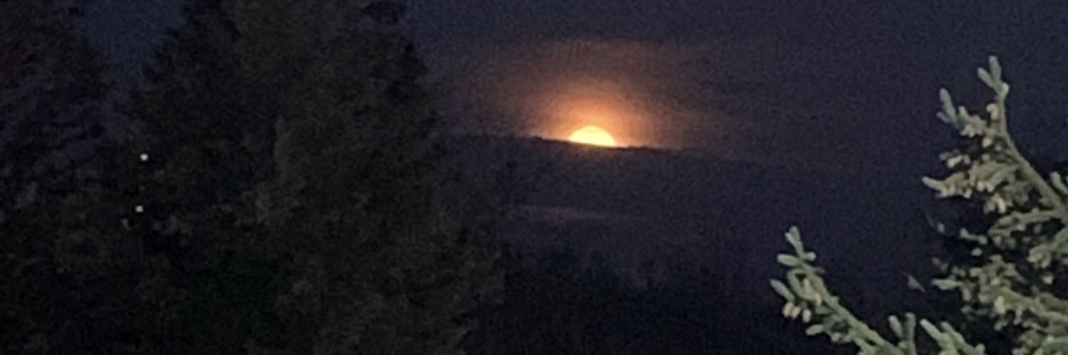 Nightwalker9911's profile banner image