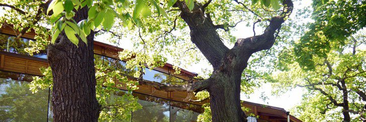 Magnus Bygren banner