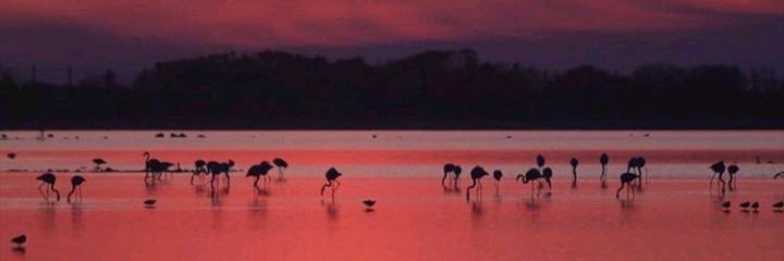 pilarcb_00's profile banner image