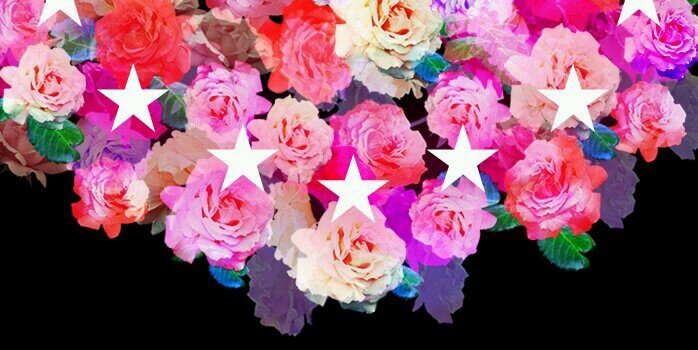 fanimariangel's profile banner image
