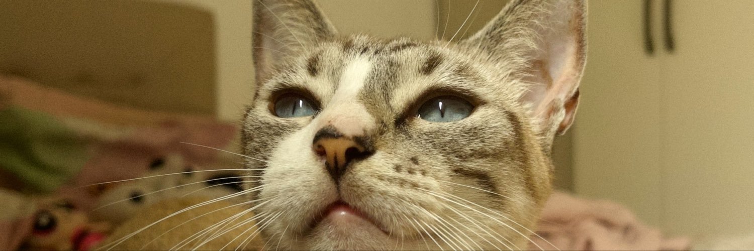 aloneeside's profile banner image