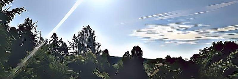 Abenazer's profile banner image