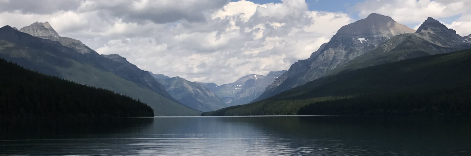 GlhammondsLisa's profile banner image