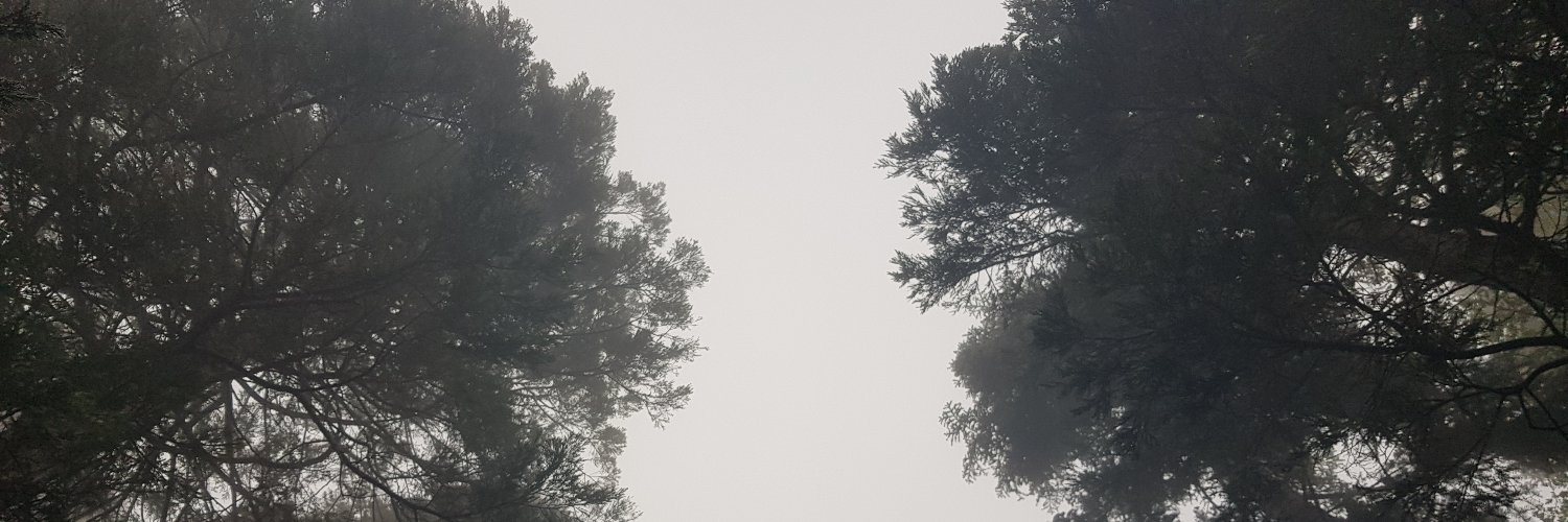 MallardMan_'s profile banner image