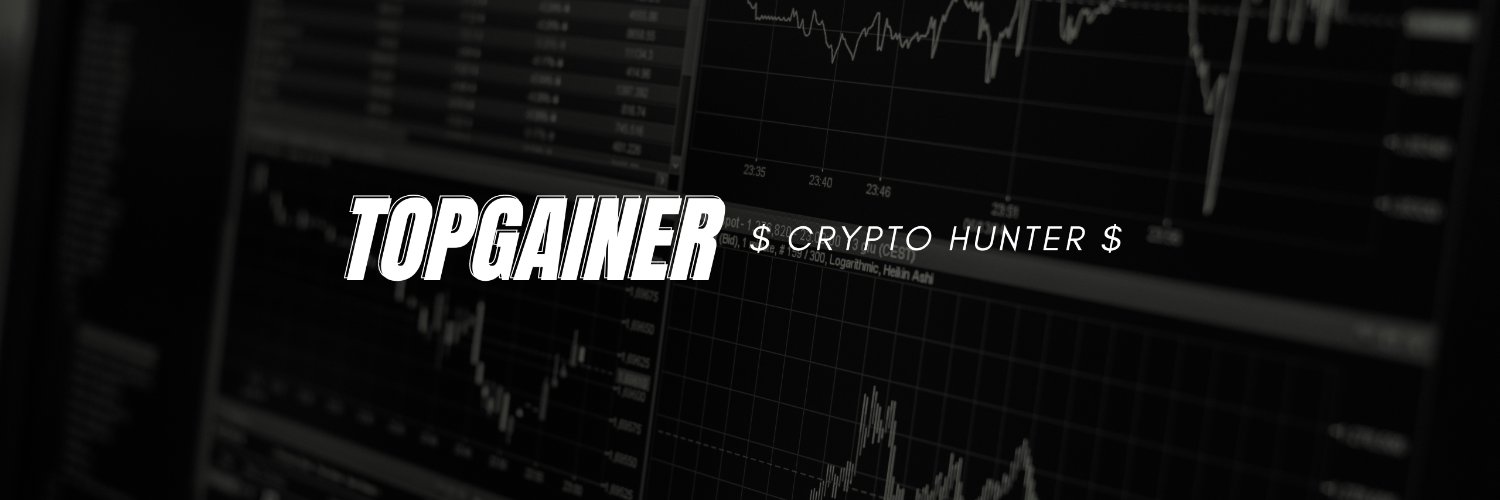 TopGainer2024's profile banner image