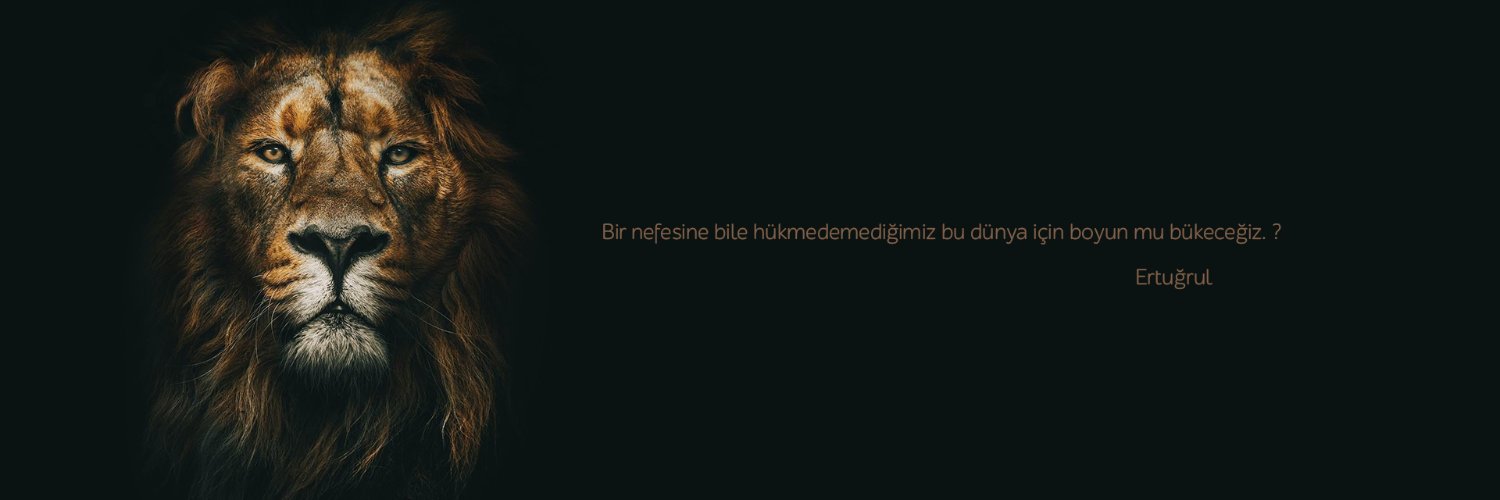 AtlamaHamdi's profile banner image