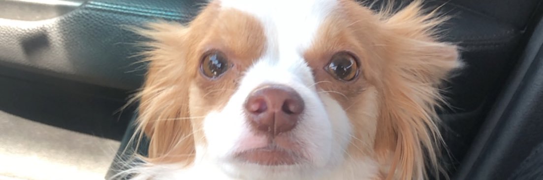 Dre🇨🇻🇨🇴 banner