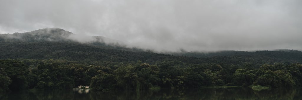 Canpinoc's profile banner image