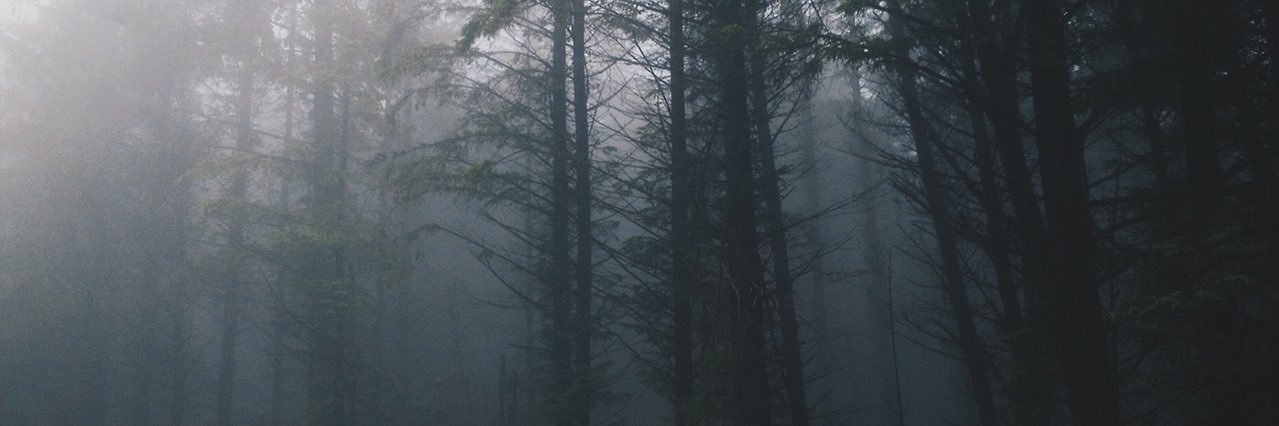 taaaylor0x's profile banner image