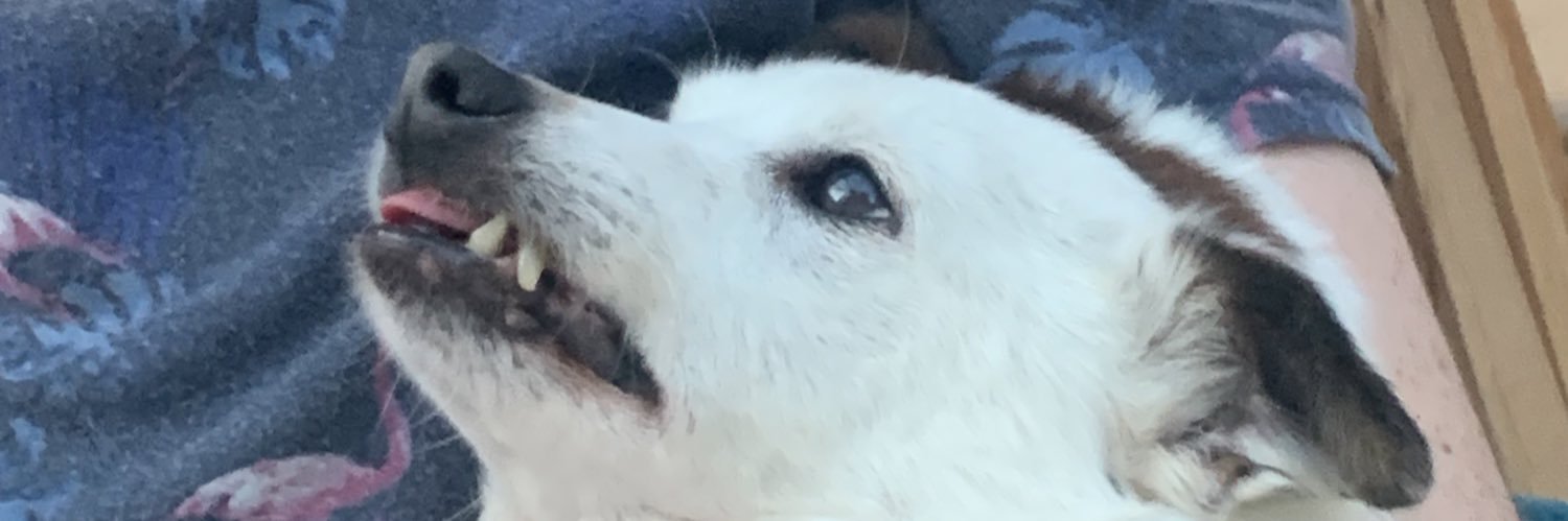 axenlika's profile banner image