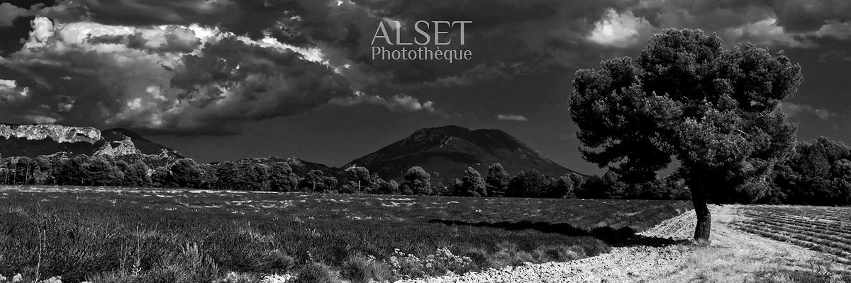 photothqueALSET's profile banner image
