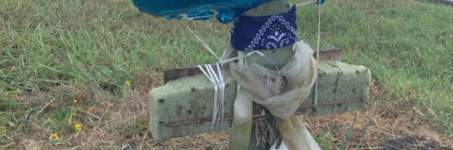 _natty04's profile banner image