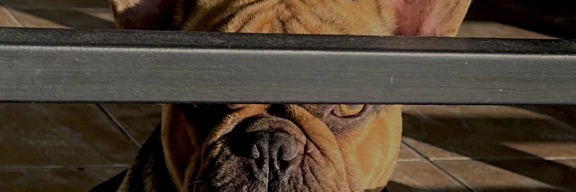 LucaMendivil7's profile banner image