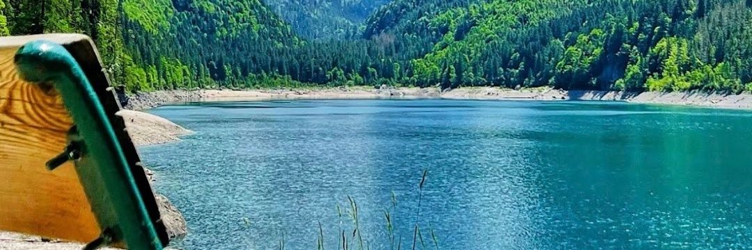 Mandy 🧟‍♀️ banner