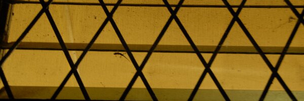 LewisMudge Profile Banner