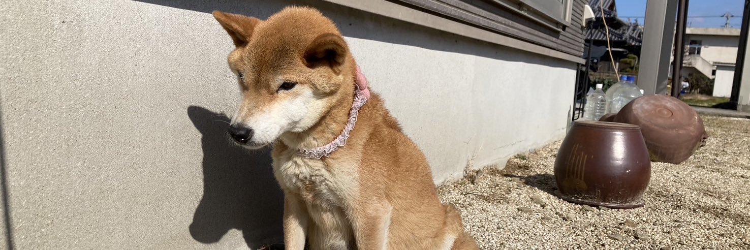 KONKOTATU's profile banner image