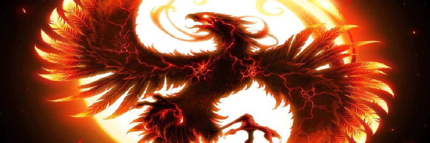 m_perol's profile banner image