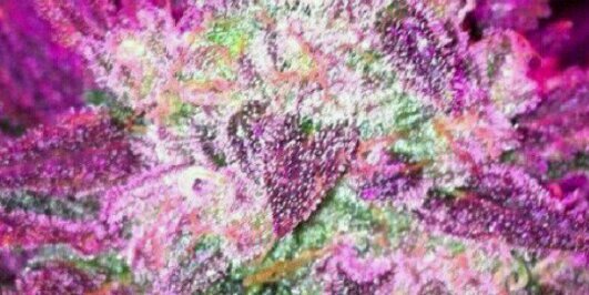 katalinaebp1's profile banner image