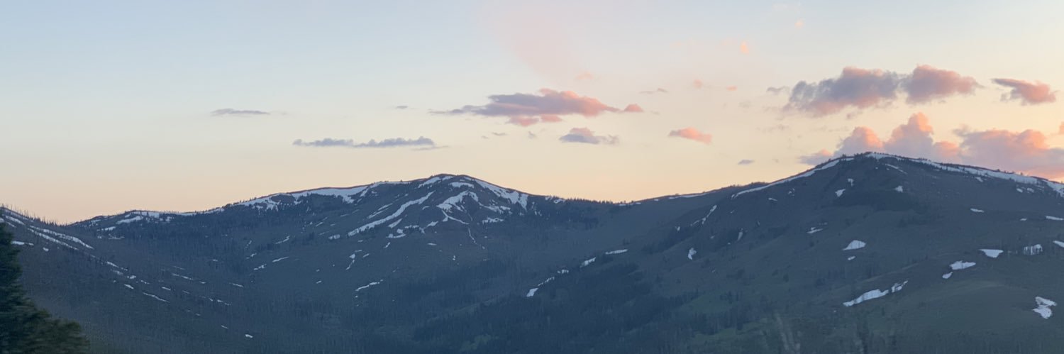 lizzybeans's profile banner image