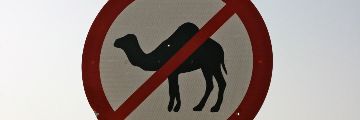 malonedavid's profile banner image