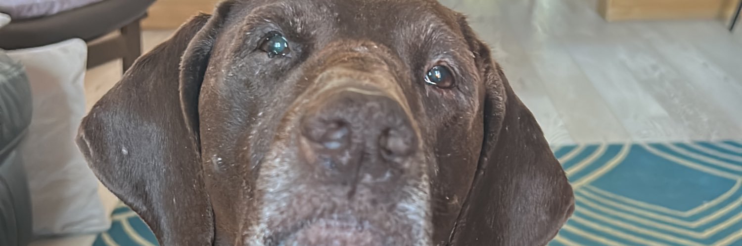JoMenz78's profile banner image