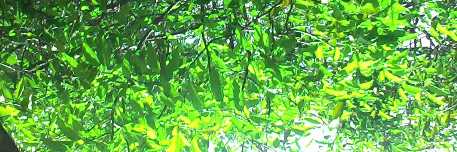 My_alberto99's profile banner image