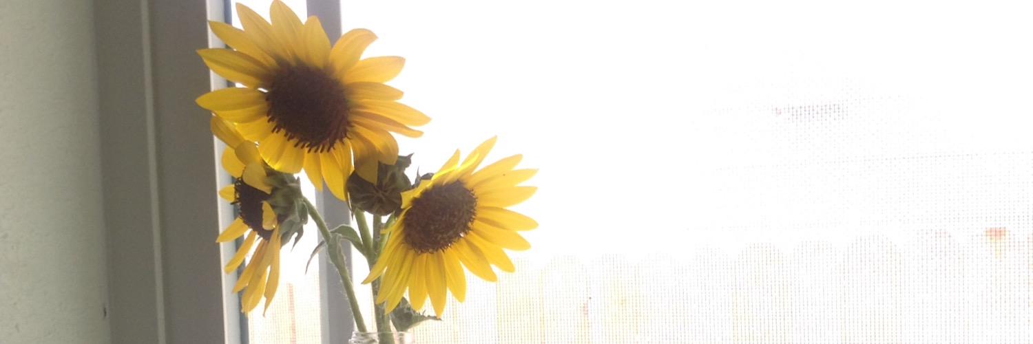 brianaFel's profile banner image