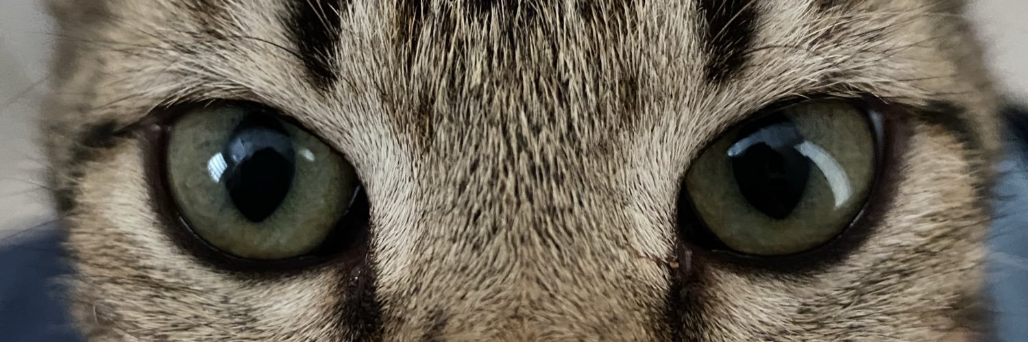 isaxlins's profile banner image
