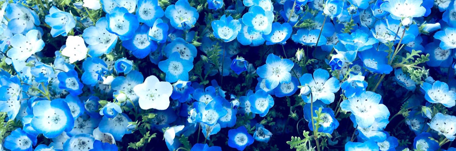 ramu131's profile banner image